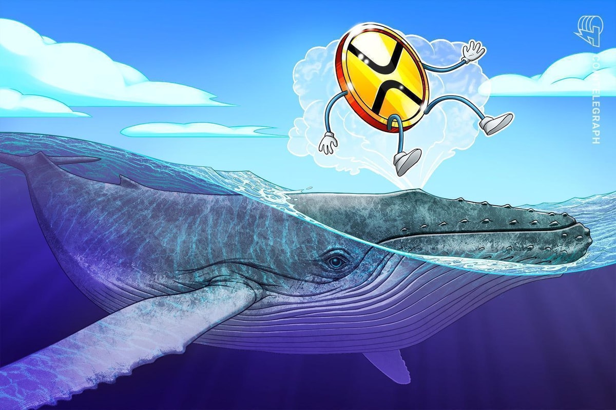 XRP whale flow and technical setup hint at 40% price boom next