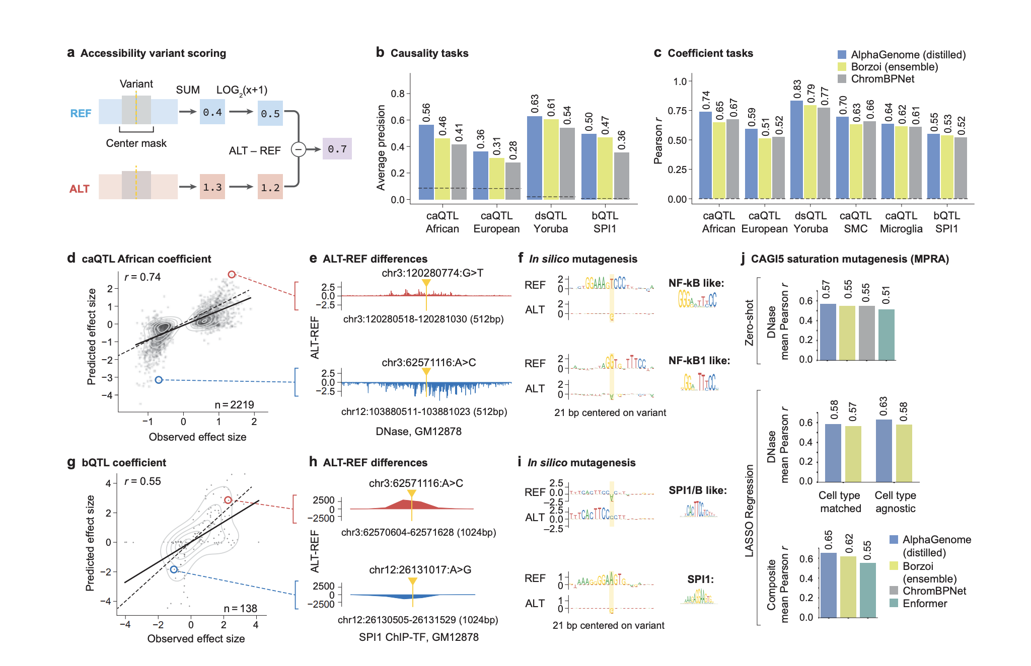 Google DeepMind Releases AlphaGenome: A Deep Learning Model that can more Comprehensively Predict the Impact of Single Variants or Mutations in DNA