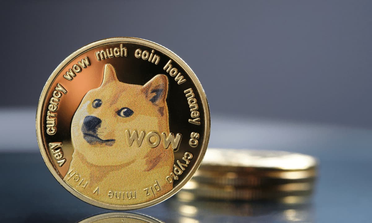 Dogecoin (DOGE) Rally Lacks Retail Mania