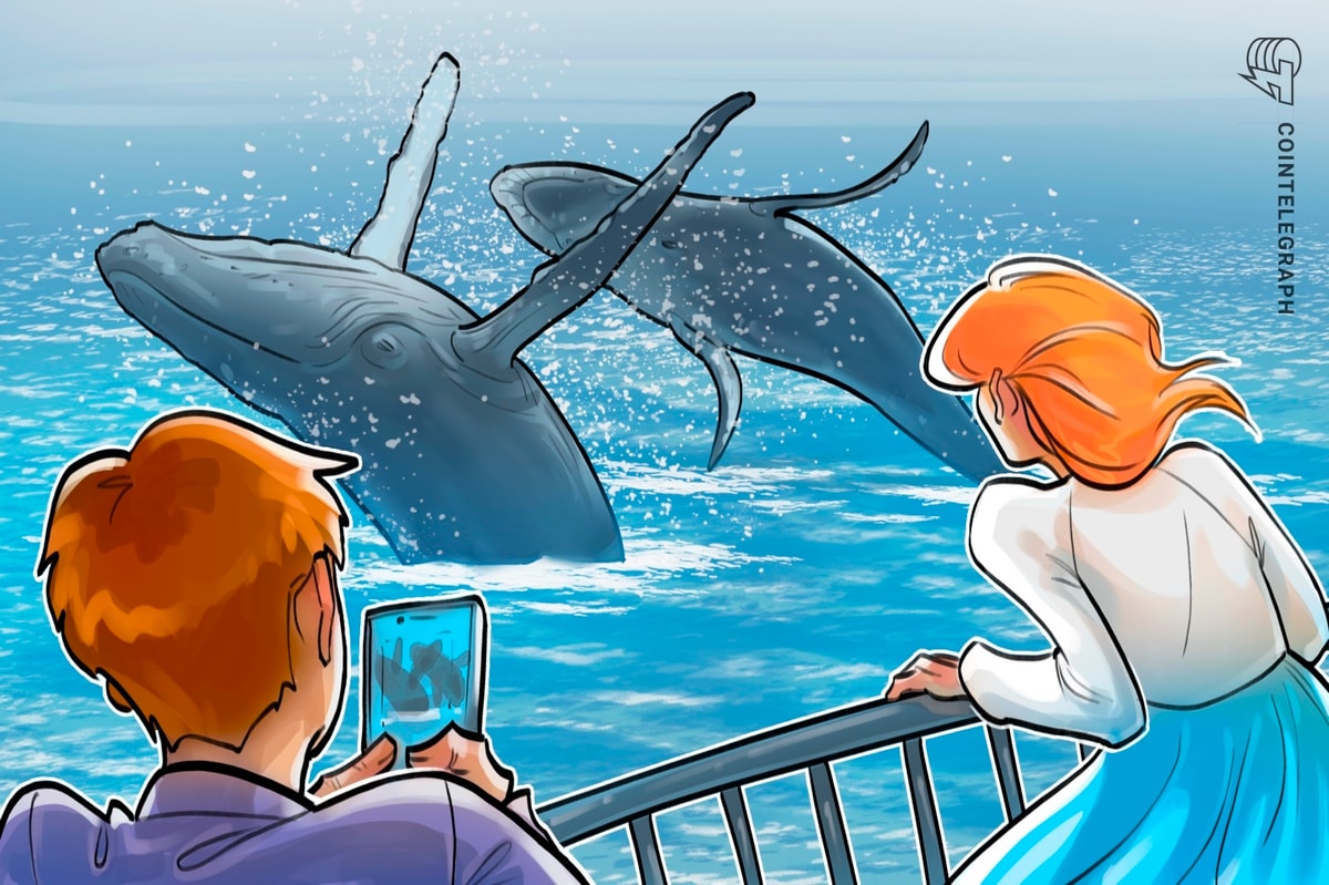 Crypto Whales Increase Buying as Bitcoin Drops and Market Fear Rises